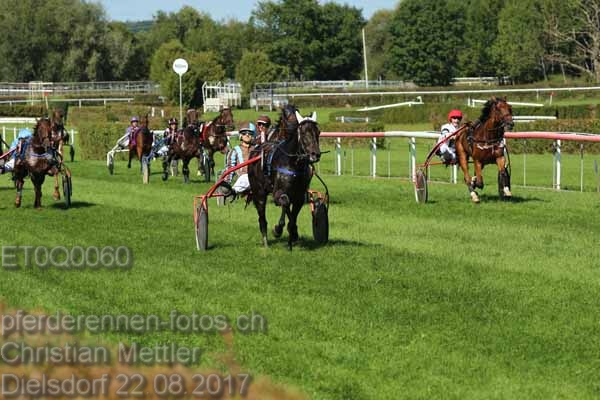 ET0Q0060 prot